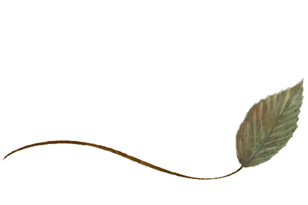 Spring Flowers, Autumn Leaves, Grapes Wispy Birch Leaf Artwork