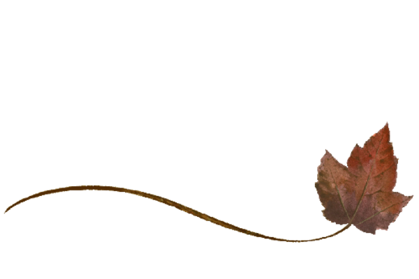 Spring Flowers, Autumn Leaves, Grapes Wispy Boxelder Leaf Artwork