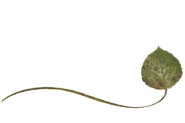 Spring Flowers, Autumn Leaves, Grapes Wispy Bradford Pear Leaf Artwork