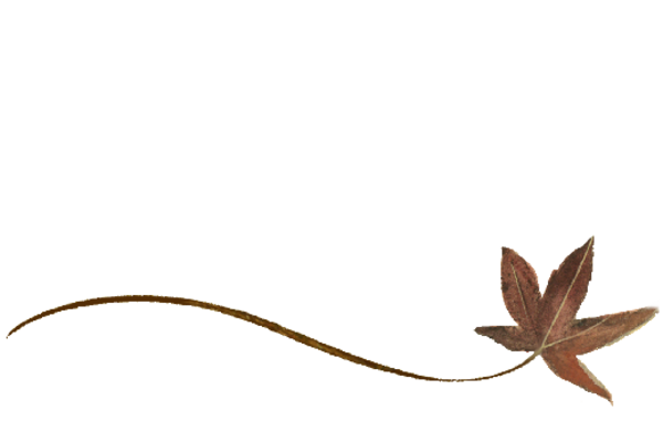 Spring Flowers, Autumn Leaves, Grapes Wispy Buckeye Leaf Artwork