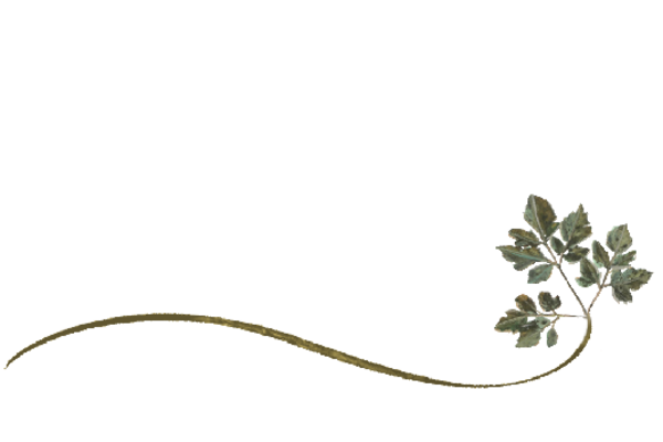 Spring Flowers, Autumn Leaves, Grapes Wispy Honey Locust Leaf Artwork