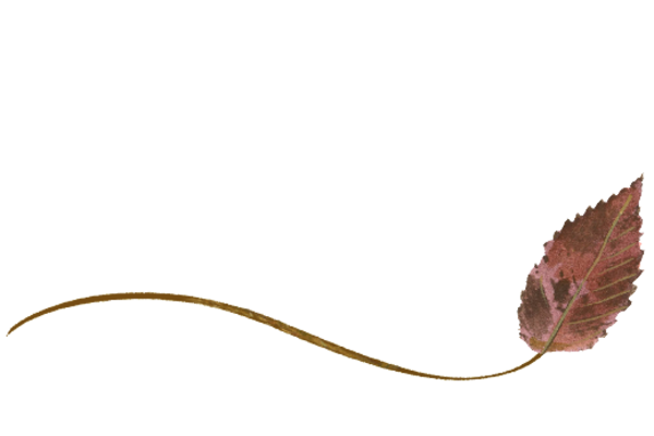 Spring Flowers, Autumn Leaves, Grapes Wispy Ironwood Leaf Artwork