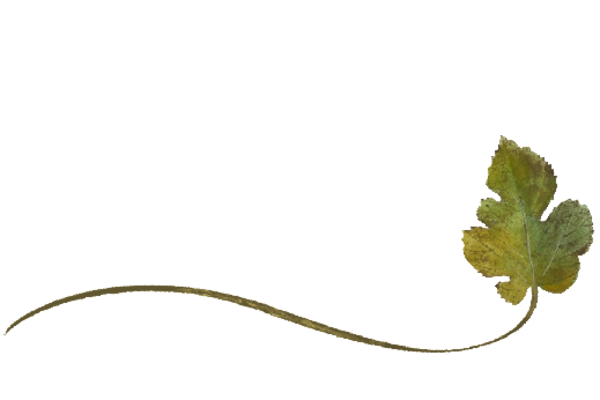 Spring Flowers, Autumn Leaves, Grapes Wispy Mulberry Leaf Artwork