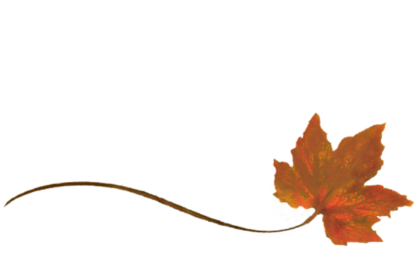 Spring Flowers, Autumn Leaves, Grapes Wispy Orance Sugar Maple Leaf Artwork