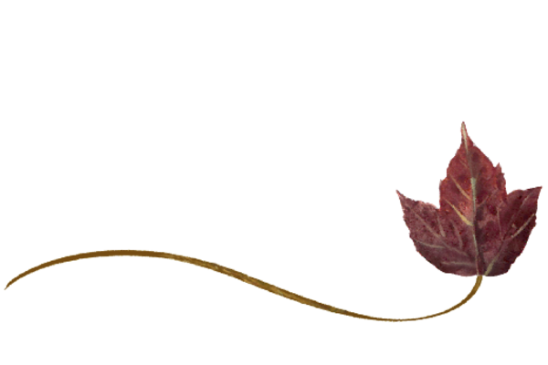 Spring Flowers, Autumn Leaves, Grapes Wispy Poplar Leaf Artwork
