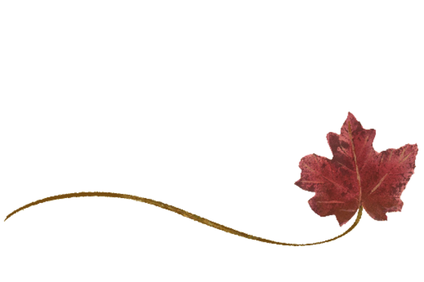Spring Flowers, Autumn Leaves, Grapes Wispy Red Maple Leaf Artwork