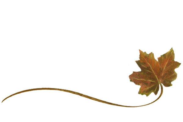 Spring Flowers, Autumn Leaves, Grapes Wispy Sugar Maple Leaf Artwork
